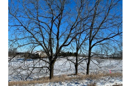 LOT 13 Hwy 39, Blanchardville, WI 53516