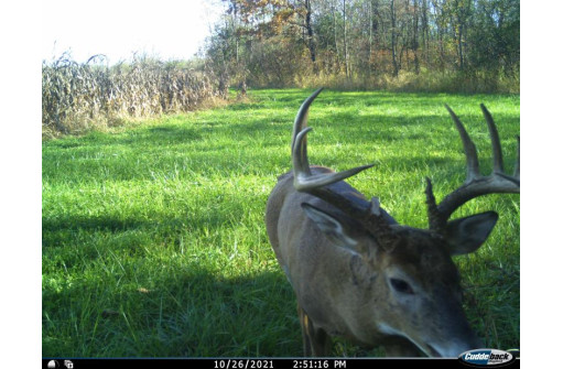 38.24 ACRES County Road Pf, Prairie Du Sac, WI 53578