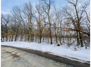 LOT 62 Christmas Mountain Rd Wisconsin Dells, WI 53965