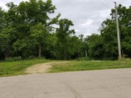 9.97AC Lot 1 Greenbush Rd (csm51000)