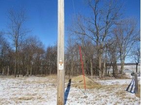 9.97AC Lot 1 Greenbush Rd (csm51000)