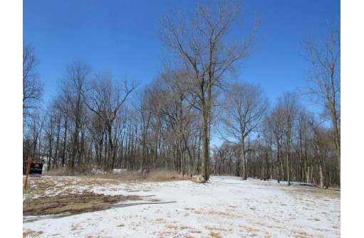 9.97AC Lot 1 Greenbush Rd (csm51000), Juda, WI 53566