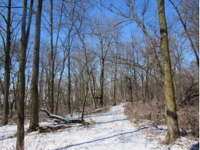 9.97AC Lot 1 Greenbush Rd (csm51000)