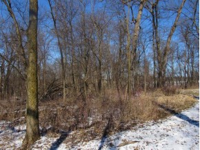 9.97AC Lot 1 Greenbush Rd (csm51000)