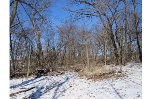 9.97AC Lot 1 Greenbush Rd (csm51000), Juda, WI 53566