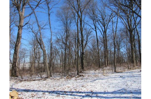 9.97AC Lot 1 Greenbush Rd (csm51000), Juda, WI 53566