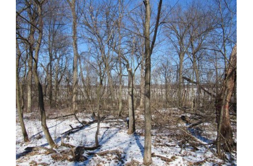 9.97AC Lot 1 Greenbush Rd (csm51000), Juda, WI 53566