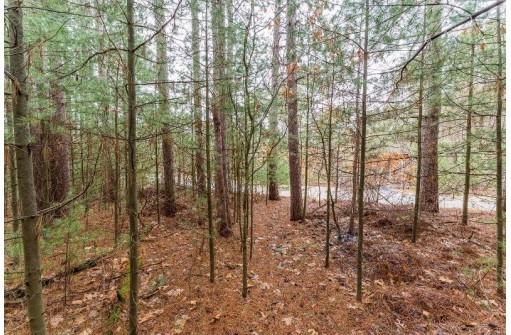 3 AC County Road K, Wisconsin Dells, WI 53965-8980