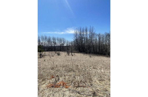 1.80 AC Bugle Ct, La Valle, WI 53941