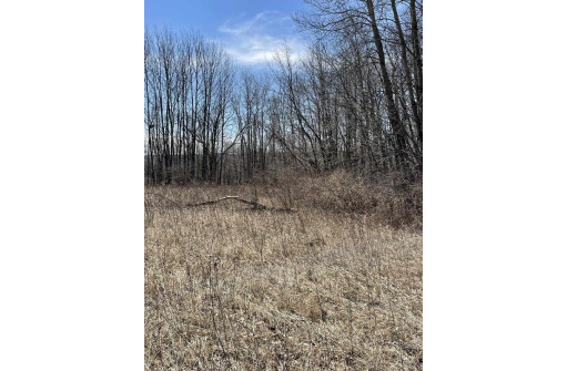 1.80 AC Bugle Ct, La Valle, WI 53941