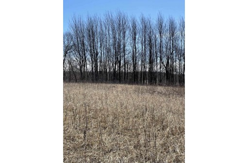 1.80 AC Bugle Ct, La Valle, WI 53941