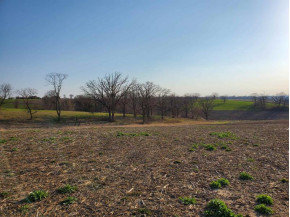 1.52 AC Redbird Ridge Ln