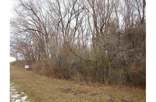 5 LOTS Tuttle St & Martiny Ct, Baraboo, WI 53913