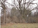 5 LOTS Tuttle St & Martiny Ct, Baraboo, WI 53913