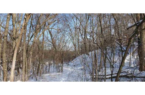 25.51 AC County Road A, Wisconsin Dells, WI 53965