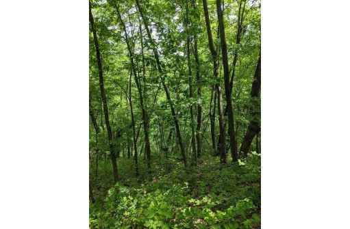 25.51 AC County Road A, Wisconsin Dells, WI 53965