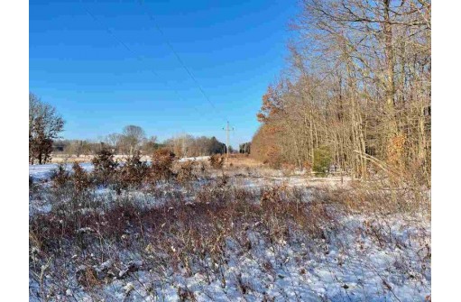 80 ACRES Crescent Rd, Warrens, WI 54666