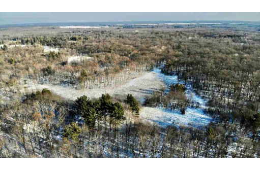 80 ACRES Crescent Rd, Warrens, WI 54666