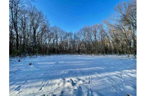 80 ACRES Crescent Rd, Warrens, WI 54666