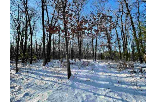 80 ACRES Crescent Rd, Warrens, WI 54666