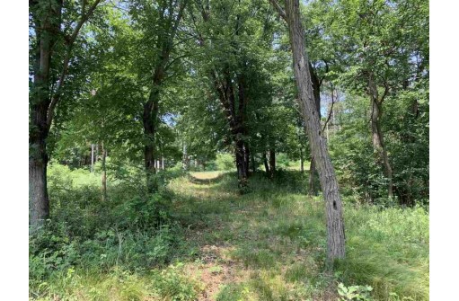 PARCEL A County Road C, Montello, WI 53949