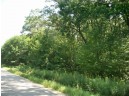 17.59 AC Raedel Ln, Wisconsin Dells, WI 53965