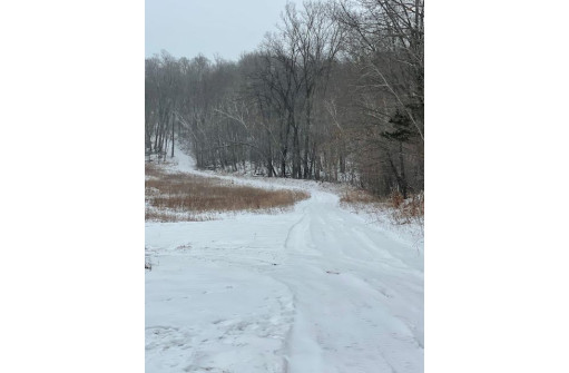 40 ACRES Seitz Rd, Prairie Du Sac, WI 53578