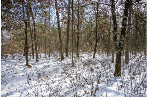 LOT 119 Beach Dr, New Lisbon, WI 53950