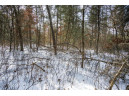 LOT 119 Beach Dr, New Lisbon, WI 53950