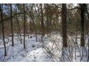 LOT 119 Beach Dr, New Lisbon, WI 53950