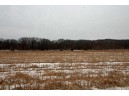 8.46AC Coon Rock Rd, Arena, WI 53503