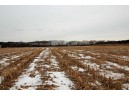 8.46AC Coon Rock Rd, Arena, WI 53503