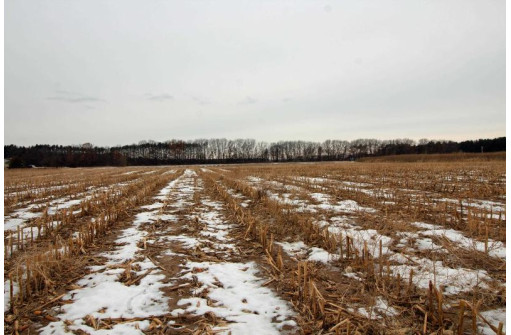 8.46AC Coon Rock Rd, Arena, WI 53503