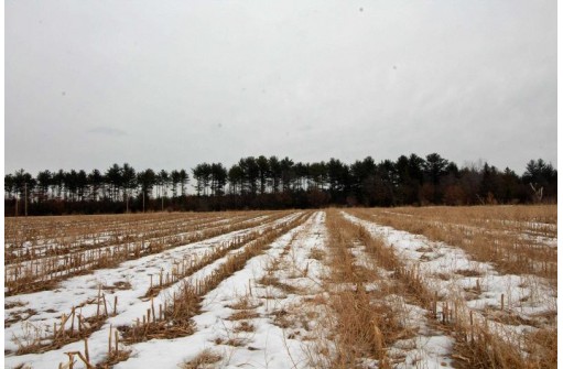 8.46AC Coon Rock Rd, Arena, WI 53503