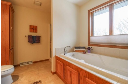 W9173 Wilderness Pl, Cambridge, WI 53523