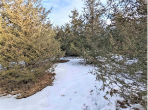 LOT 28 Cedar Cove Ln