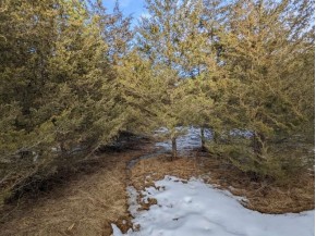 LOT 28 Cedar Cove Ln