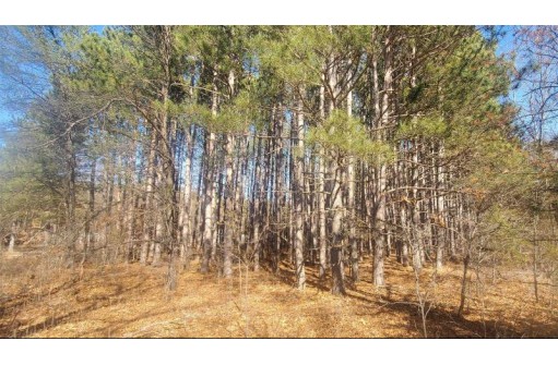 LOT 59 Amherst Rd, Lyndon Station, WI 53944