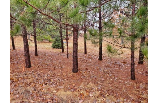 LOT4 Partridge Dr, Reedsburg, WI 53959