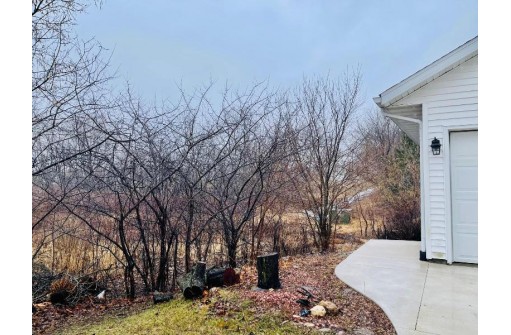 1667 Hidden Valley Tr, Sun Prairie, WI 53590-0000