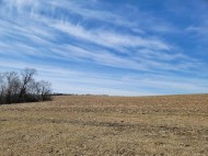 35.46 AC W Dorner Rd