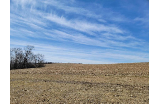 35.46 AC W Dorner Rd, Brodhead, WI 53520