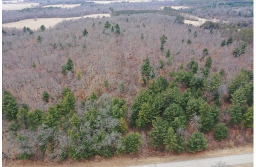 10 +/- ACRES Coon Bluff Rd, Reedsburg, WI 53959