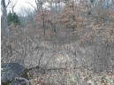 10 +/- ACRES Coon Bluff Rd, Reedsburg, WI 53959