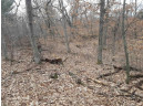 10 +/- ACRES Coon Bluff Rd, Reedsburg, WI 53959