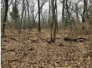 10 +/- ACRES Coon Bluff Rd, Reedsburg, WI 53959