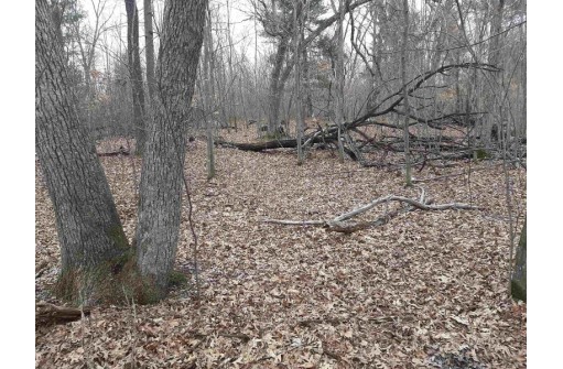 10 +/- ACRES Coon Bluff Rd, Reedsburg, WI 53959