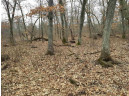 10 +/- ACRES Coon Bluff Rd, Reedsburg, WI 53959