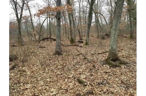 10 +/- ACRES Coon Bluff Rd, Reedsburg, WI 53959