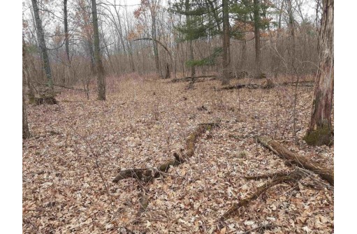 10 +/- ACRES Coon Bluff Rd, Reedsburg, WI 53959